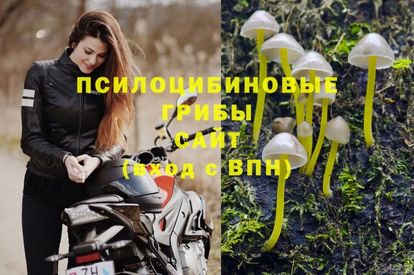 а пвп мука Аркадак