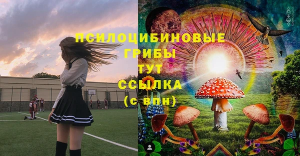 альфа пвп Армянск