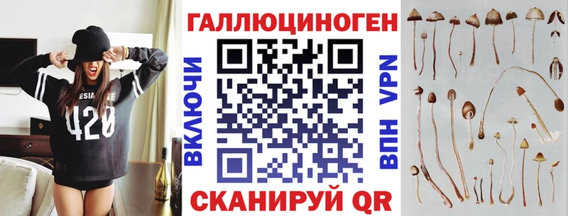 Псилоцибиновые грибы мицелий  Моршанск 